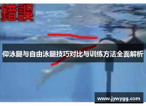 仰泳腿与自由泳腿技巧对比与训练方法全面解析