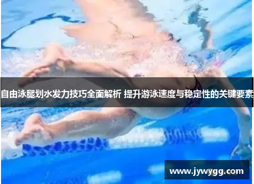 自由泳腿划水发力技巧全面解析 提升游泳速度与稳定性的关键要素