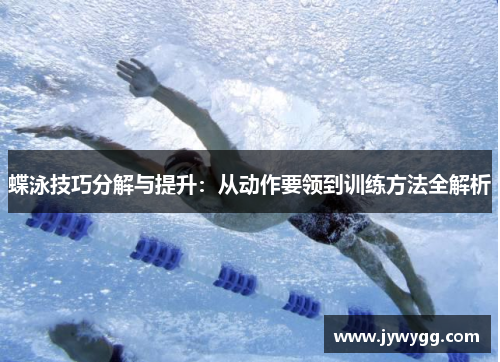 蝶泳技巧分解与提升：从动作要领到训练方法全解析
