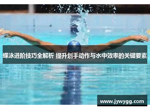 蝶泳进阶技巧全解析 提升划手动作与水中效率的关键要素