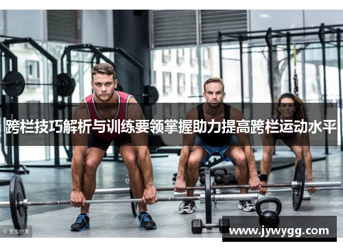 跨栏技巧解析与训练要领掌握助力提高跨栏运动水平